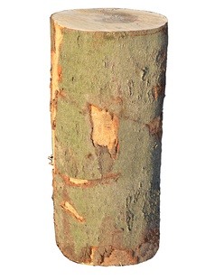 Špalek na štípání dřeva z bukového dřeva